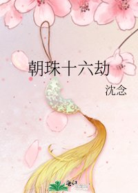 朝珠十六劫